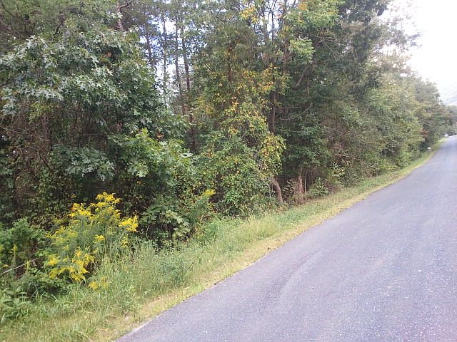 2nd image of 262 Watertower Rd