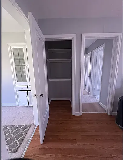 Walk in pantry with plenty of storage
