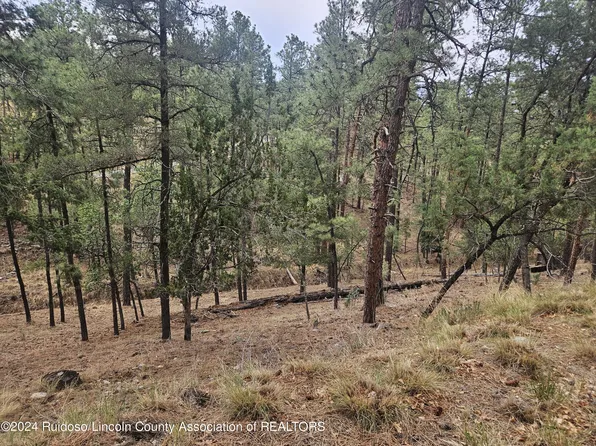 117 Twin Tree Rd, Alto, NM 88312