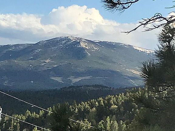 View from Great Room