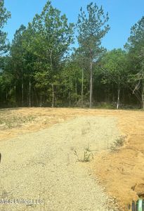 155 Hidden Acres Ln, Braxton, MS, 39044