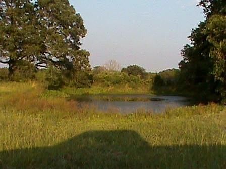 3rd image of 14275 Us Highway 82 E