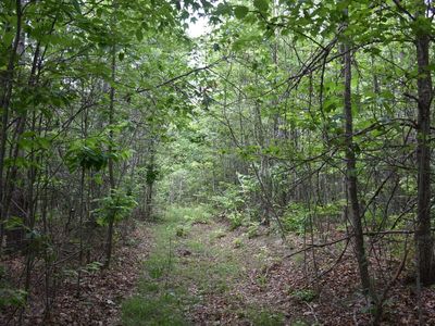 0 Holly Br, Vanceburg, KY, 41179