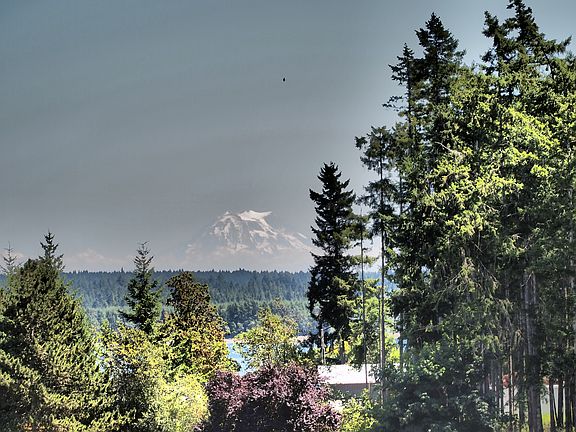 lower level property view