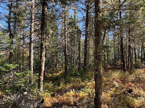 4th image of Pleasant River Preserve Lot 5
