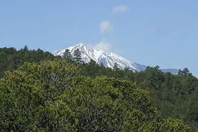 2nd image of 35 Acres On Lowr Mine