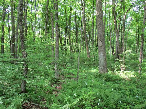 2nd image of +/-10 Acres County Road A