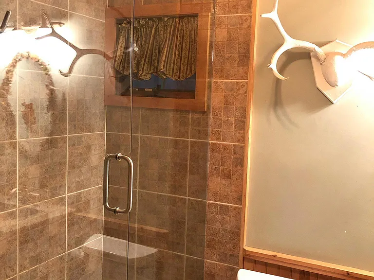 Seamless glass shower door.