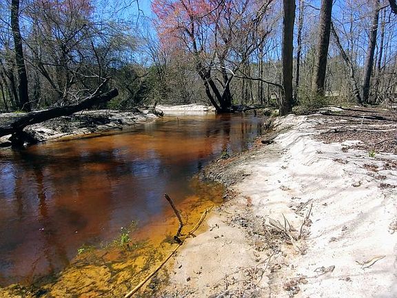 Enjoy yourself along the sandy banks of the Little River.