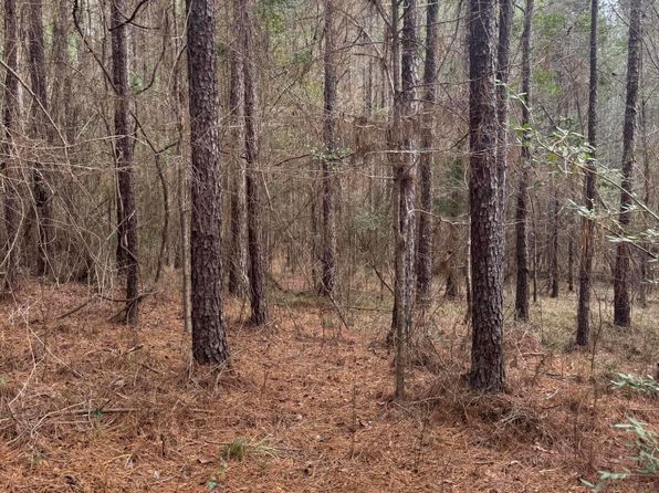 Pea Ridge Rd, Harrisville, MS 39082
