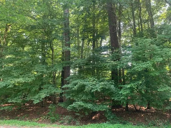 LOT Buccaneer Blvd, Greenbackville, VA 23356