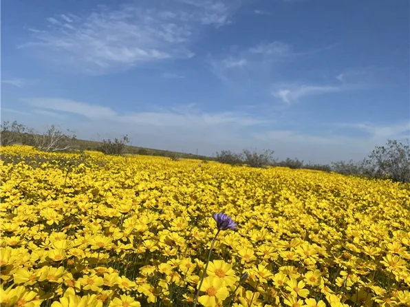 0 Vacant Land, Mojave, CA 93501