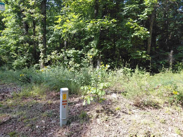Ponderosa Ln, Williford, AR 72482