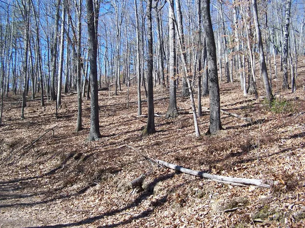0 Southside Rd, New Castle, VA 24127