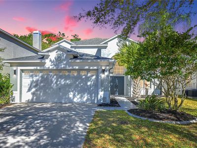 10538 Lucaya Dr, Tampa, FL, 33647