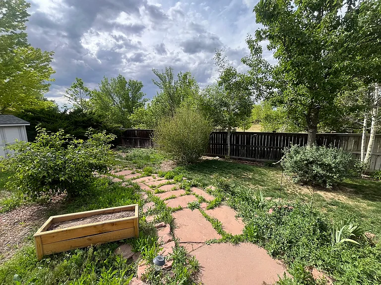 Backyard path
