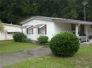 1326 County Road 461, Lake Panasoffkee, FL 33538
