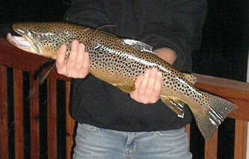 Fish Caught on Property