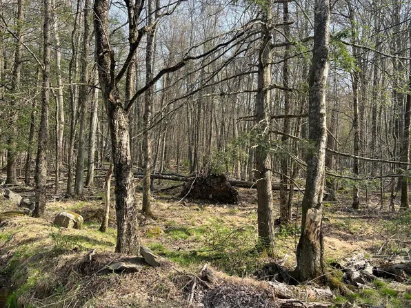 LOT 720 Elk Run Rd, Pocono Lake, PA 18347