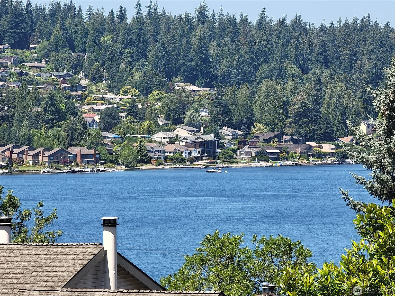 3 bed, 1146 sqft, $3,000 — Photo 3