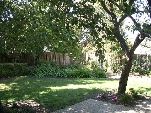 Parklike backyard is perfect for BBQ and entertaining