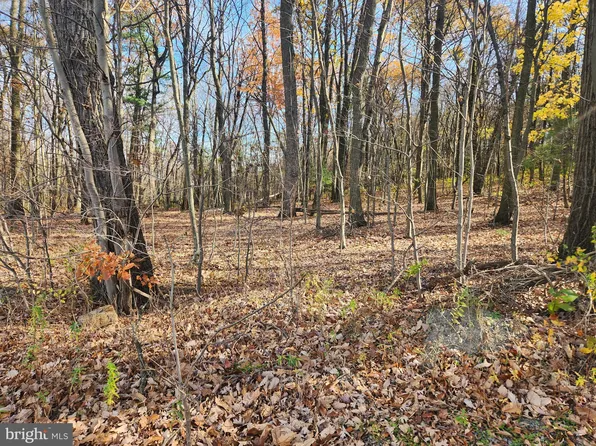 150 Clay Hill Rd, Dornsife, PA 17823