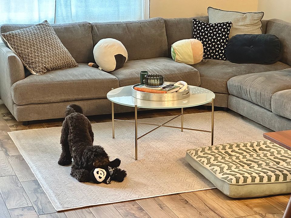 Pet-friendly