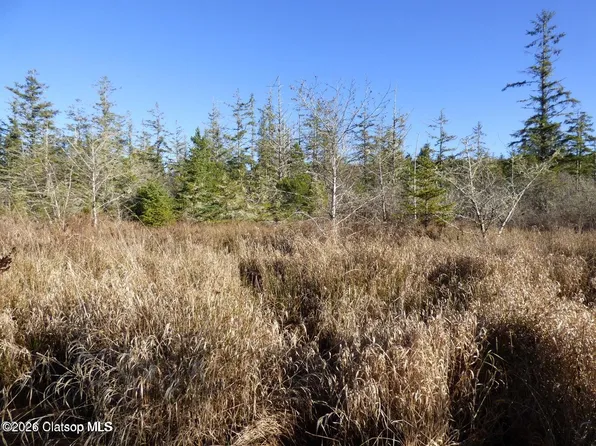 McCormick Gardens Rd, Gearhart, OR 97138