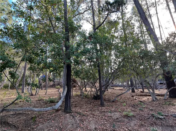 0 Langton St #8, Cambria, CA 93428