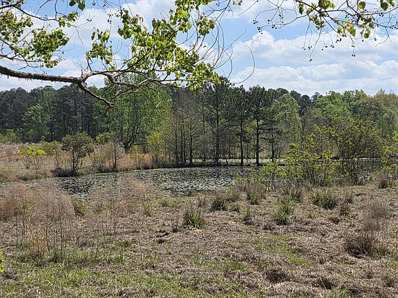 2nd image of 0 Butler Rd