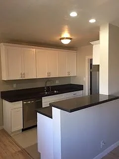 1 bed, $1,650 — Photo 2