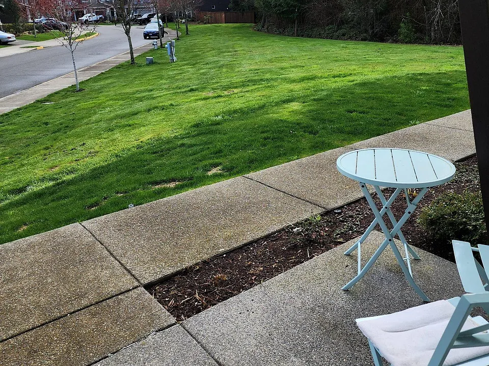 View from the front door.