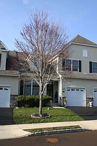 2nd image of 29 Westhampton Way
