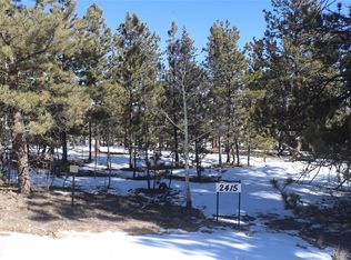 2415 Wagon Wheel Rd #317, Hartsel, CO 80449