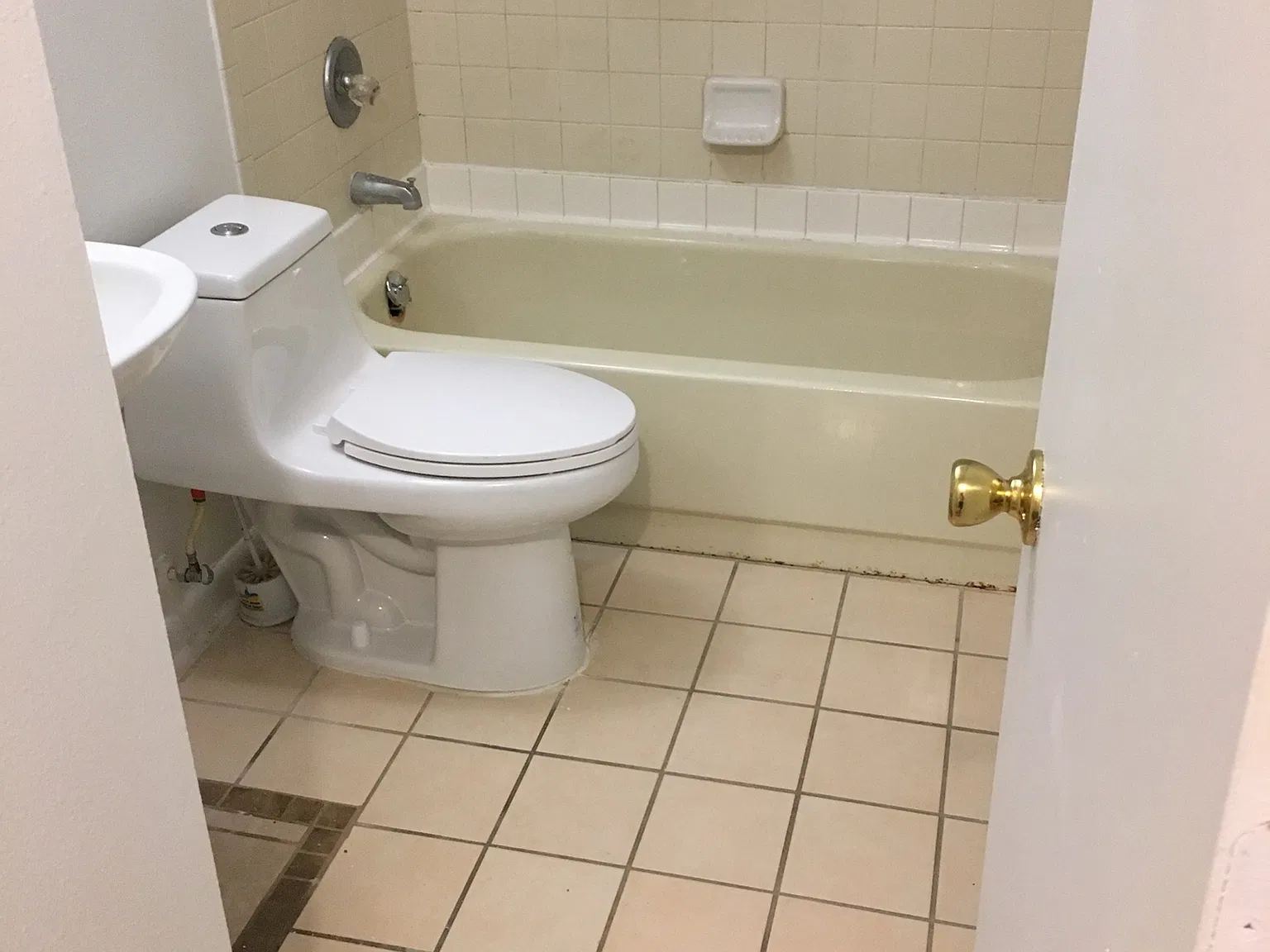 2 bed, 715 sqft, $1,350 — Photo 4