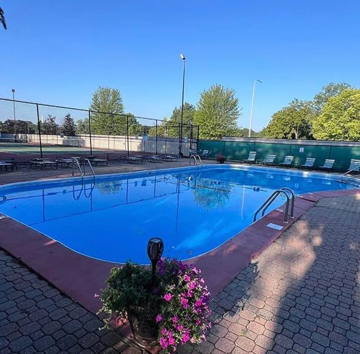1 bed, 750 sqft, $900 — Photo 2