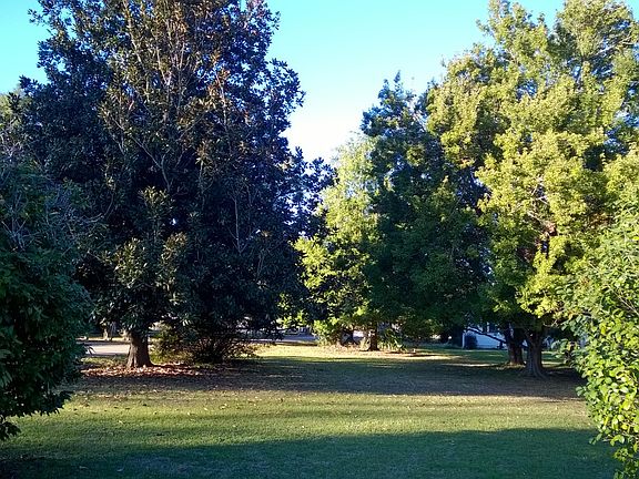 Corner Lot 