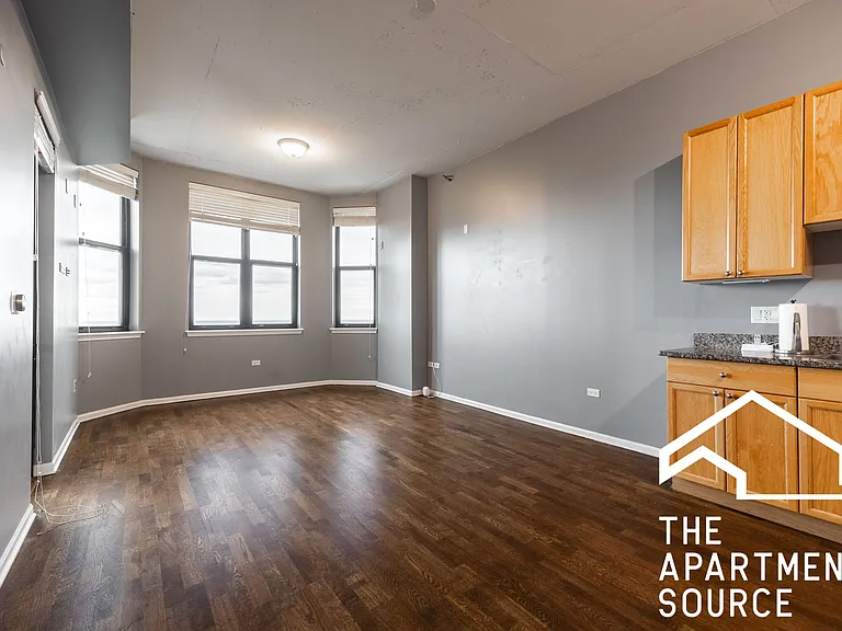 1464 S Michigan Ave #206 — Photo 6