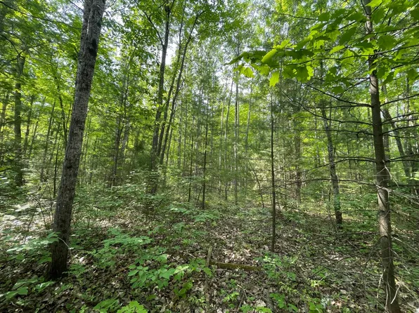 W Bakely Cir, Minocqua, WI 54548