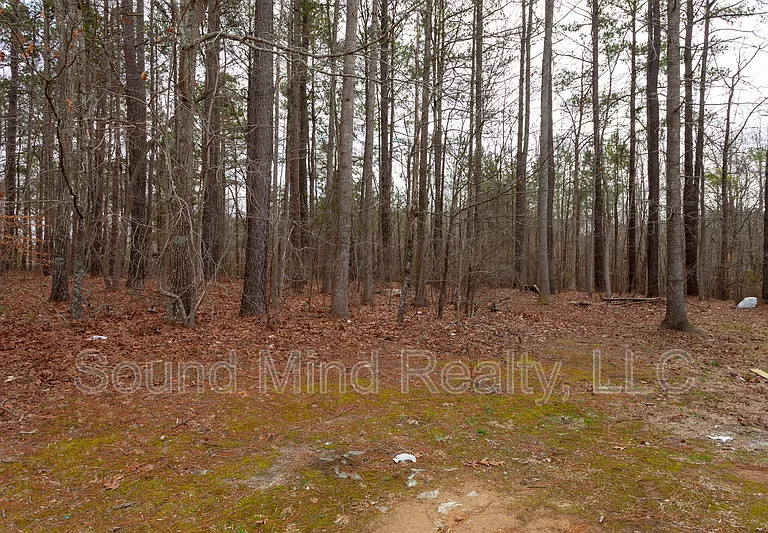 2809 Ferret Ct — Photo 22