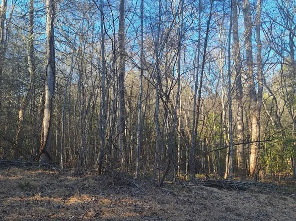 Lots 15a 16a 17 Mill Creek Acres Ln, Blue Ridge, GA 30513