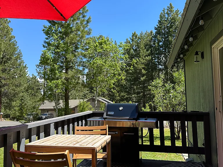 10745 Jeffery Pine Rd — Photo 25