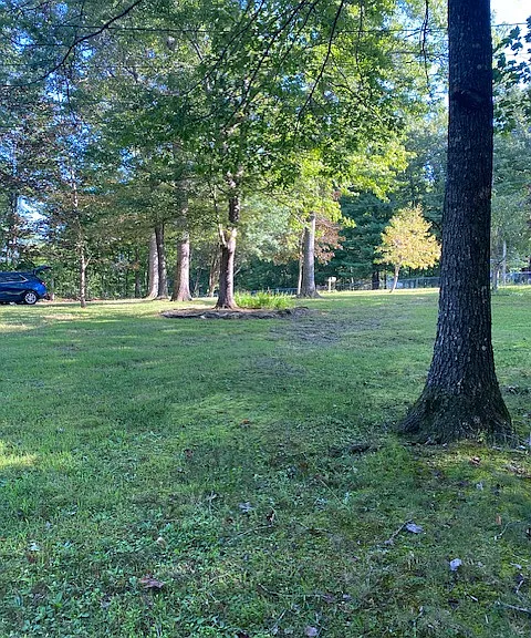 95 Southwood Dr — Photo 20