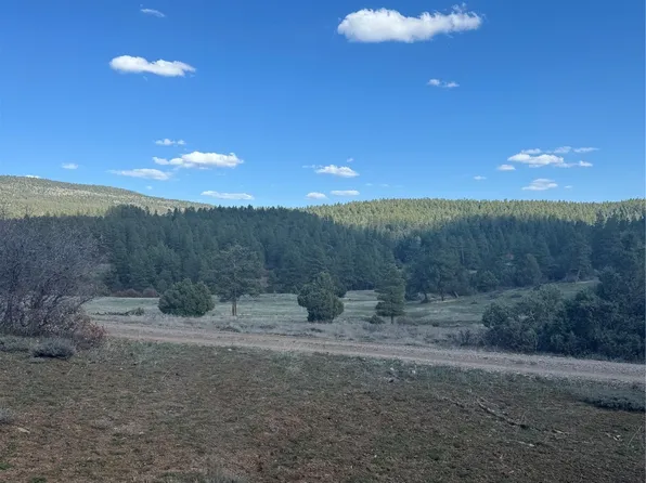 Indian Mdw, Chama, NM 87520