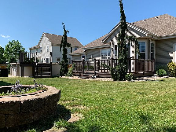 Alaskan Cypress Trees