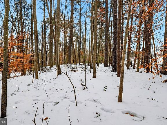 4th image of Hollywood Rd