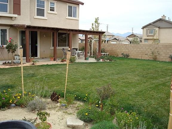 Landscaped backyard