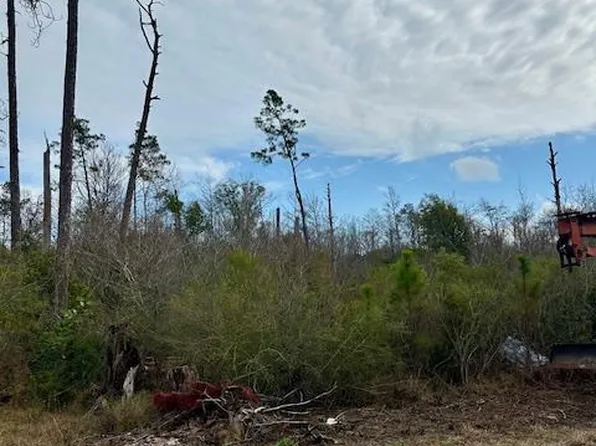LOT 2 Pine St, Wewahitchka, FL 32449