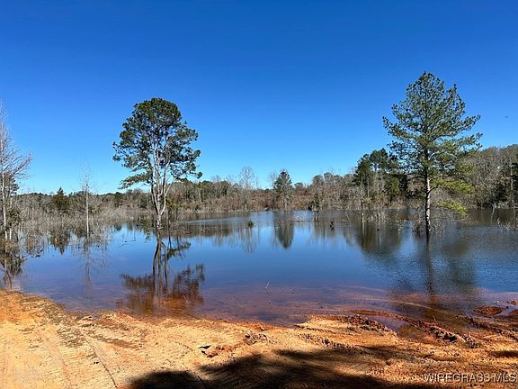 5th image of Ammons Pond Rd