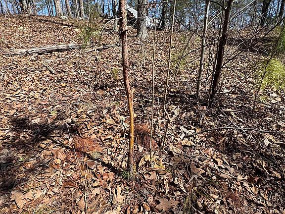 4th image of 5210 Oyler Rd